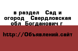  в раздел : Сад и огород . Свердловская обл.,Богданович г.